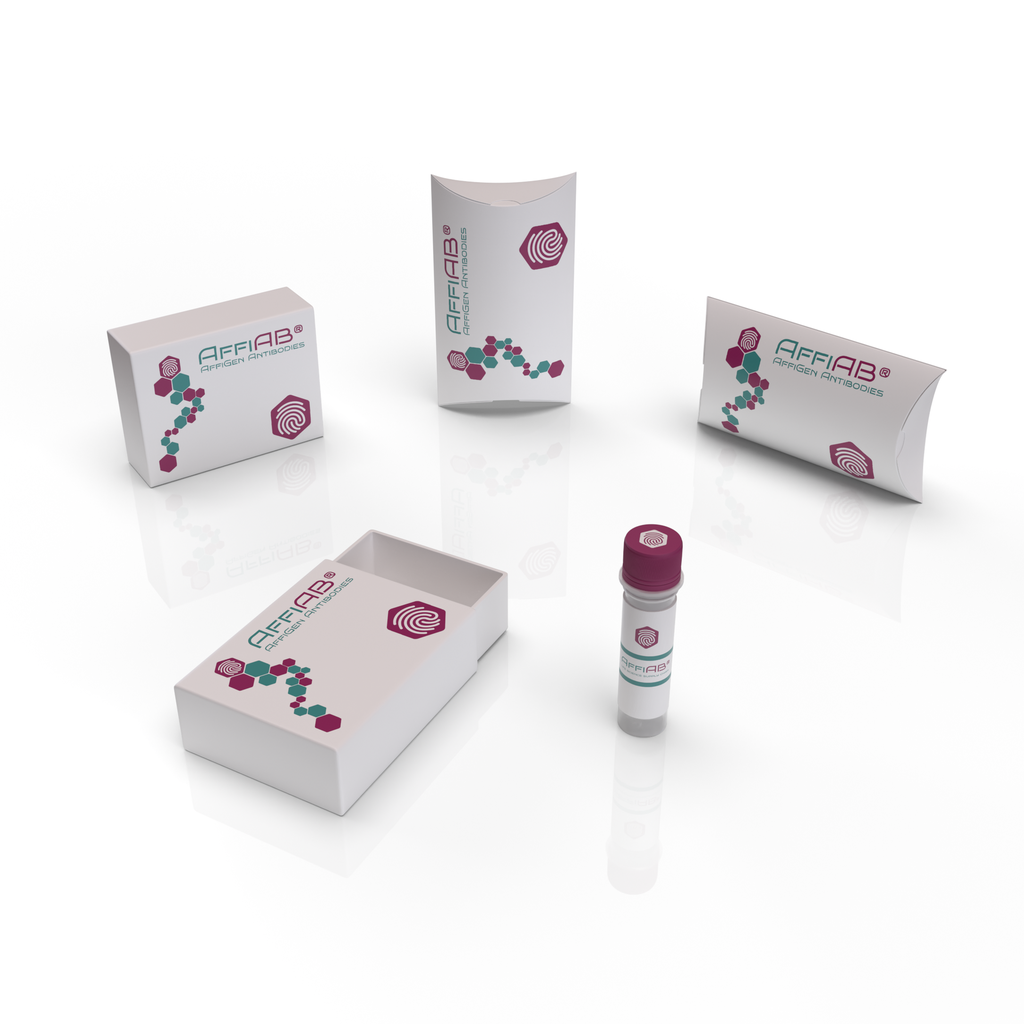 AffiADA® Denosumab Biosimilar - Research Grade